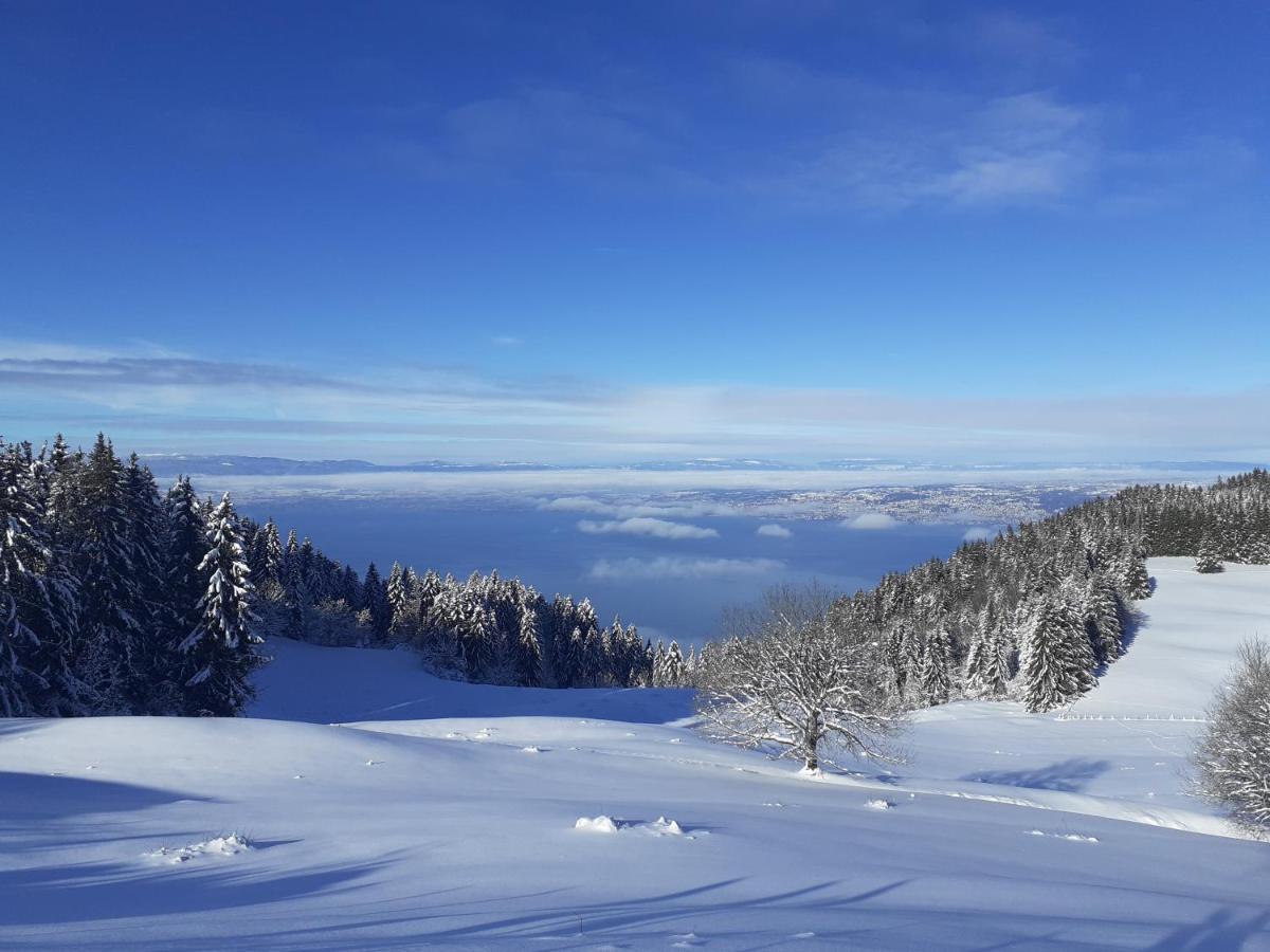 Appartamento A 150 M Des Thermes Et Du Centre