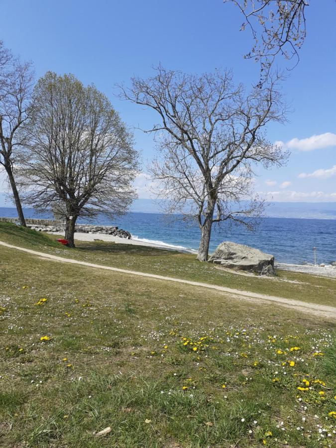 A 150 M Des Thermes Et Du Centre * Thonon-les-Bains