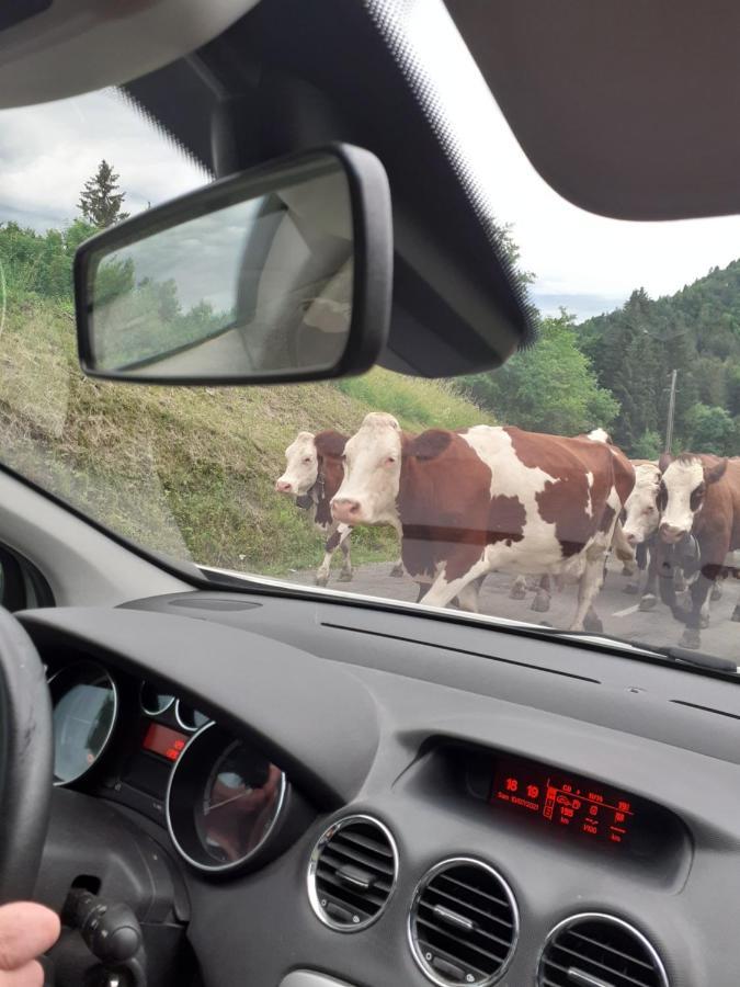 A 150 M Des Thermes Et Du Centre Appartamento Thonon-les-Bains