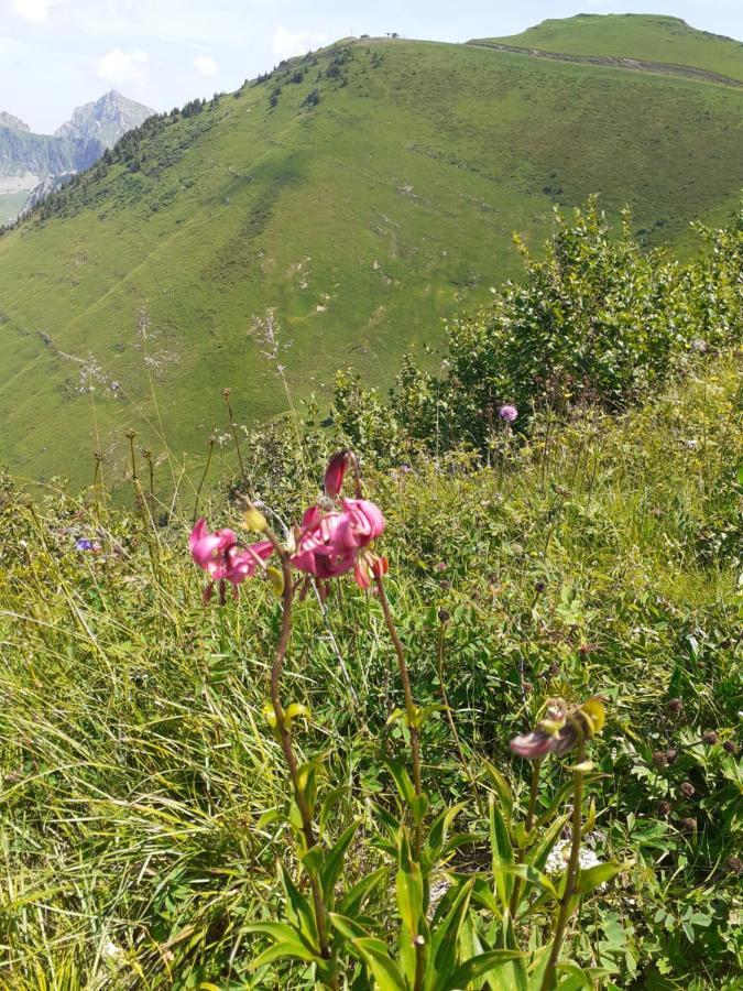 A 150 M Des Thermes Et Du Centre *